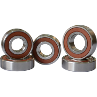 SS6300 Series deep groove ball bearings